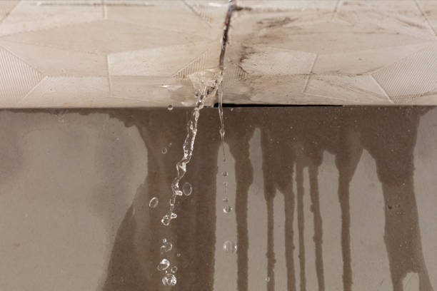 Professional Water Damage Repair technician working in Brooksville, ME
